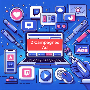 TikTok - AdWatch (jusqu'à 2 campagnes)