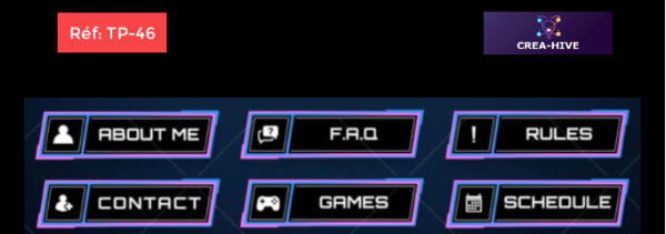 Twitch - Panneaux d'information jusqu'à 6 – Image 7